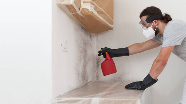 Professional Crawl Space Mold Removal technician working in Olivia, NC