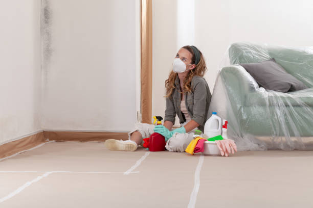 Reliable Crawl Space Mold Removal contractor in Olivia, NC by WQB Mold Removal